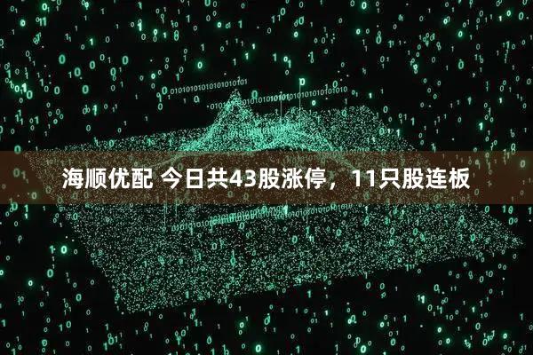 海顺优配 今日共43股涨停，11只股连板