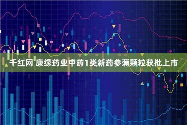 千红网 康缘药业中药1类新药参蒲颗粒获批上市