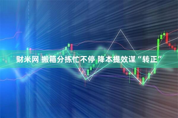 财米网 搬箱分拣忙不停 降本提效谋“转正”