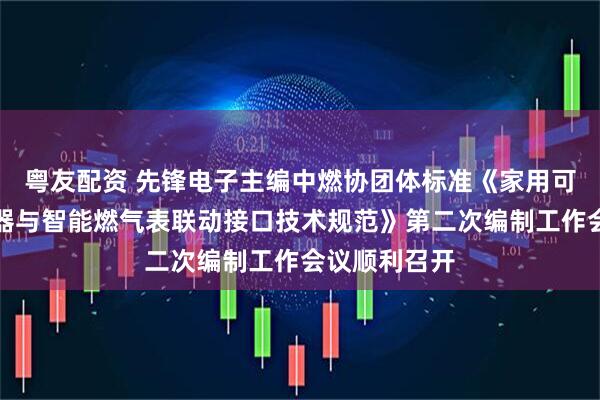 粤友配资 先锋电子主编中燃协团体标准《家用可燃气体探测器与智能燃气表联动接口技术规范》第二次编制工作会议顺利召开